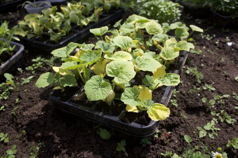 photo-1749623138366-c22661253649