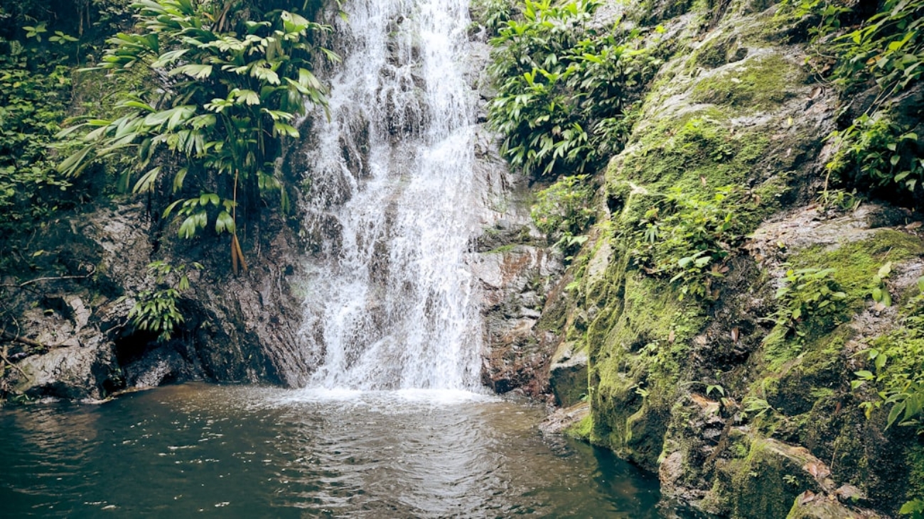 photo-1753033265645-1f137e487a76