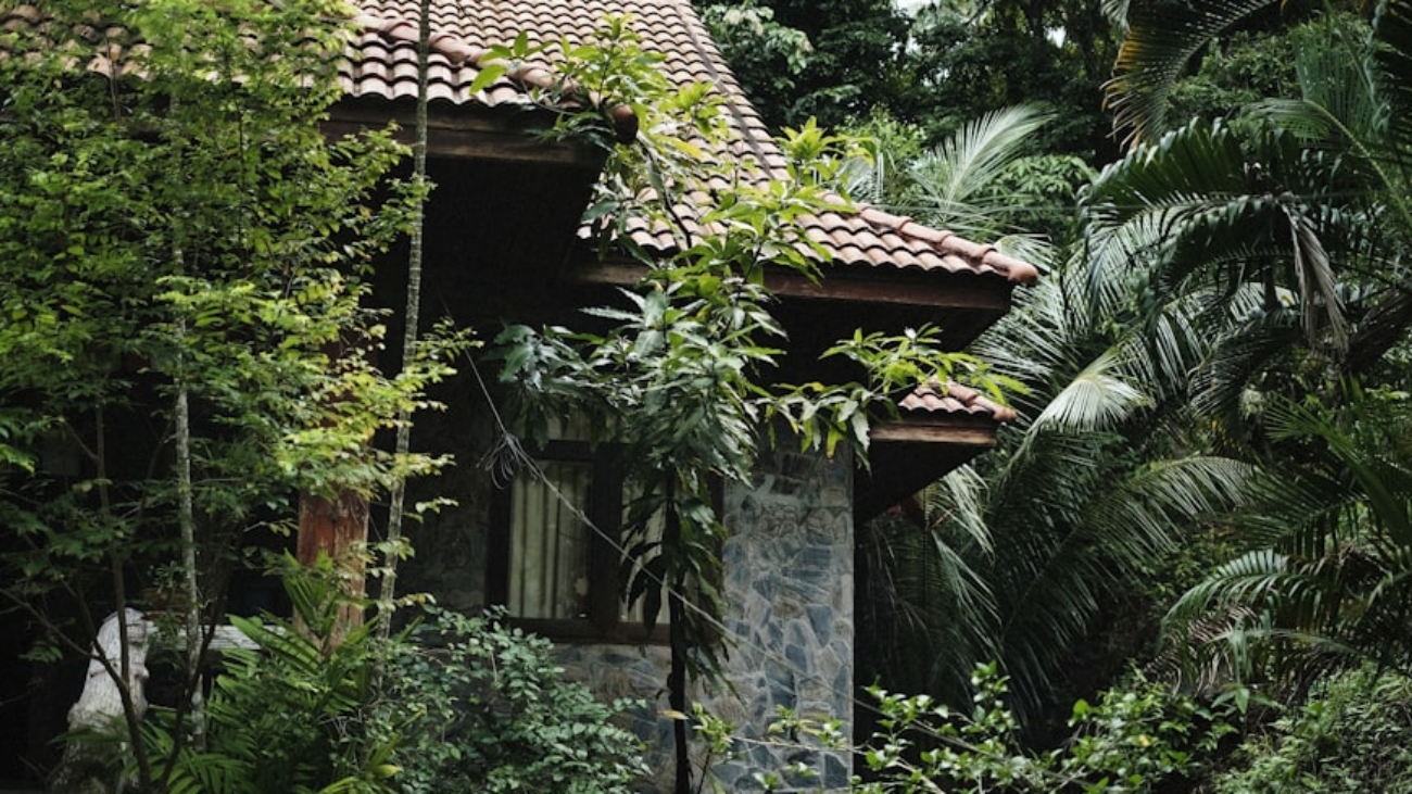 photo-1753686927694-5d309821dc9c