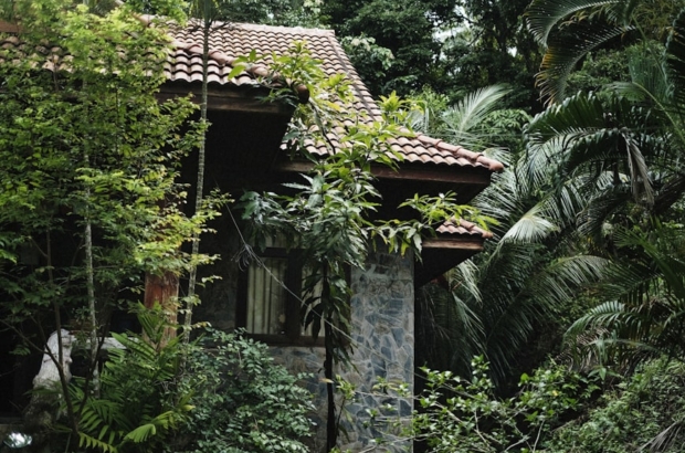 photo-1753686927694-5d309821dc9c