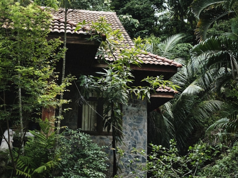 photo-1753686927694-5d309821dc9c