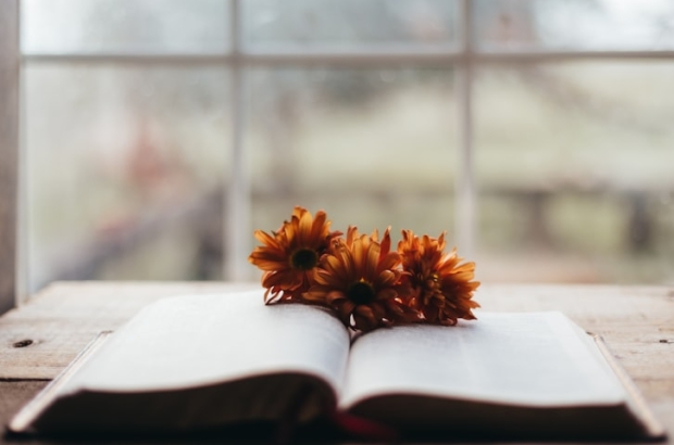 photo-1763908161084-6be74390daf2