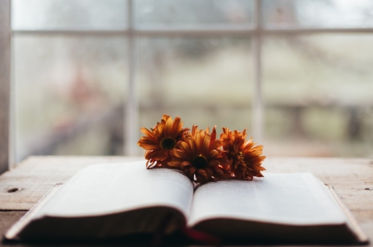 photo-1763908161084-6be74390daf2