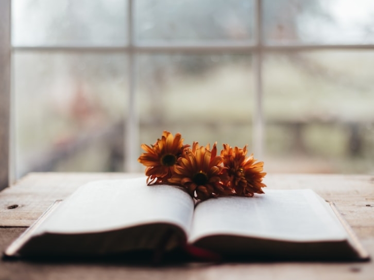 photo-1763908161084-6be74390daf2