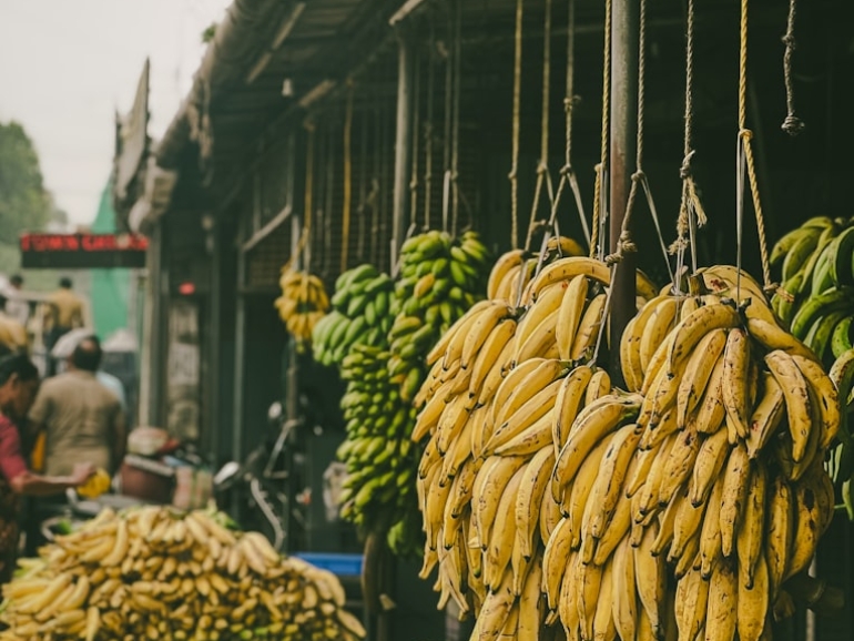 photo-1764759079340-dd92ee693246