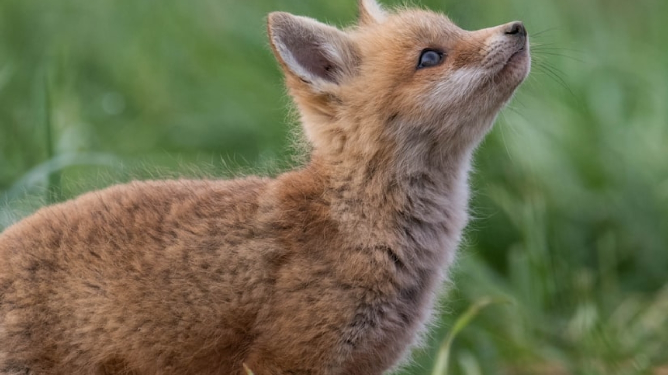 premium_photo-1661944260326-a600295e2ab9