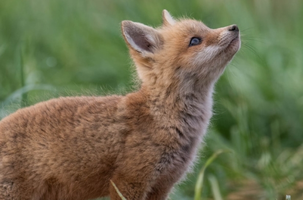 premium_photo-1661944260326-a600295e2ab9