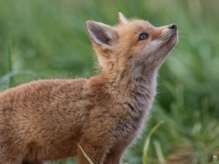 premium_photo-1661944260326-a600295e2ab9