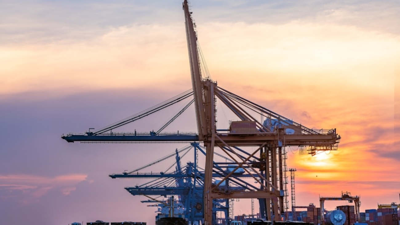 premium_photo-1661962289229-dff4a92c41f7