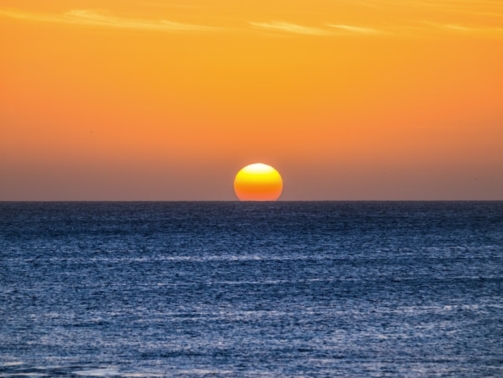premium_photo-1663045661039-32a3b7e93ad3