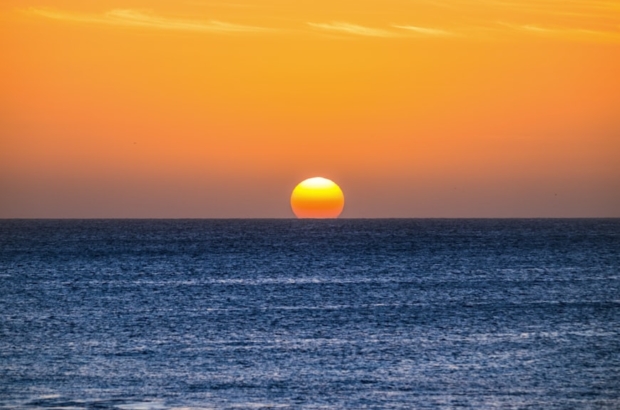 premium_photo-1663045661039-32a3b7e93ad3