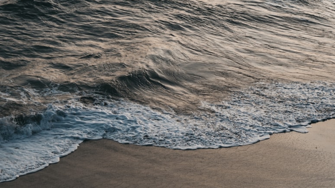 premium_photo-1664116707676-5c7a4b13b1a5