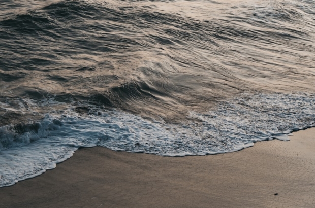 premium_photo-1664116707676-5c7a4b13b1a5