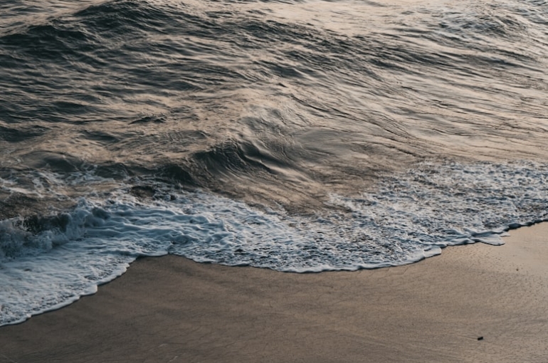 premium_photo-1664116707676-5c7a4b13b1a5