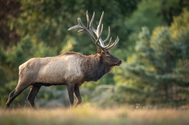 premium_photo-1664300318706-b5a93a03f2a6