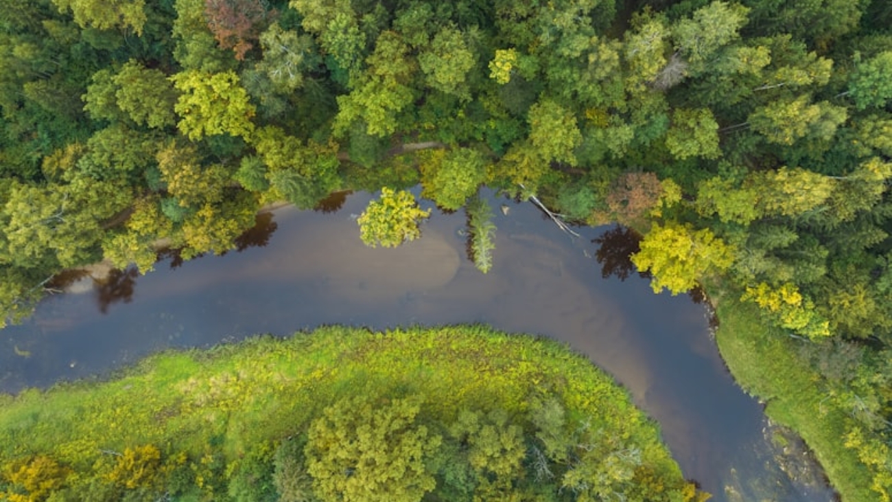 premium_photo-1664637952643-f119da3c5afc