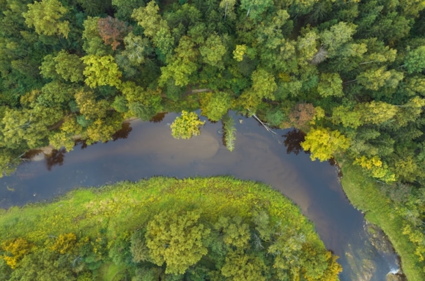 premium_photo-1664637952643-f119da3c5afc