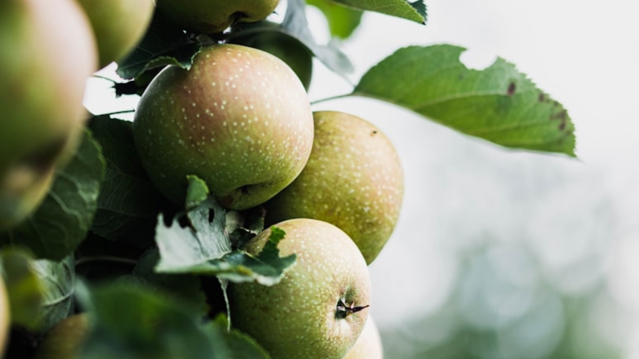 premium_photo-1666353532828-b52203abe101