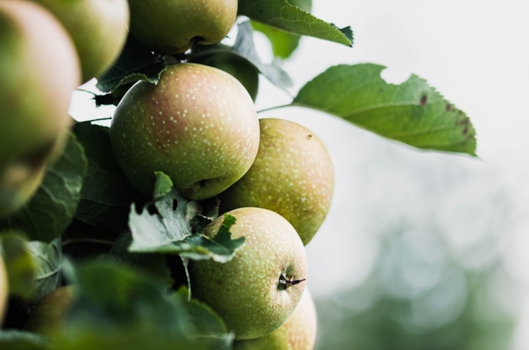 premium_photo-1666353532828-b52203abe101