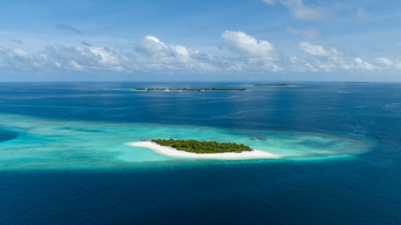 premium_photo-1666497934028-607274a840a8