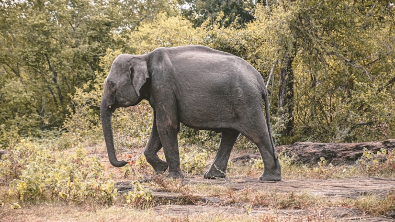 premium_photo-1666690195791-9b812e5382b7