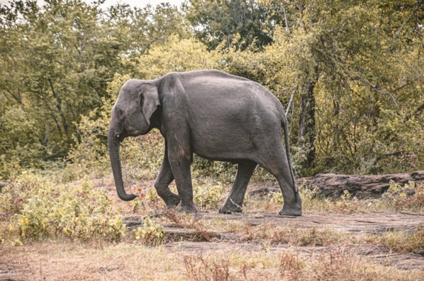 premium_photo-1666690195791-9b812e5382b7