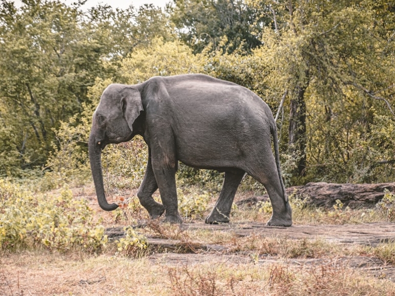 premium_photo-1666690195791-9b812e5382b7