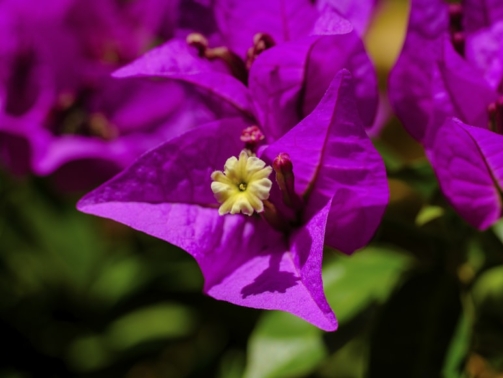 premium_photo-1666837484053-d5ba9b8a7154