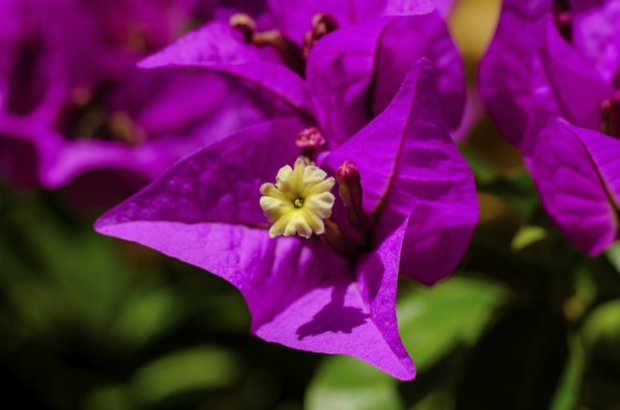 premium_photo-1666837484053-d5ba9b8a7154