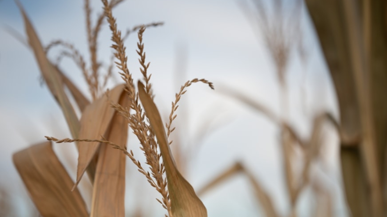 premium_photo-1666922729187-62963a87824e