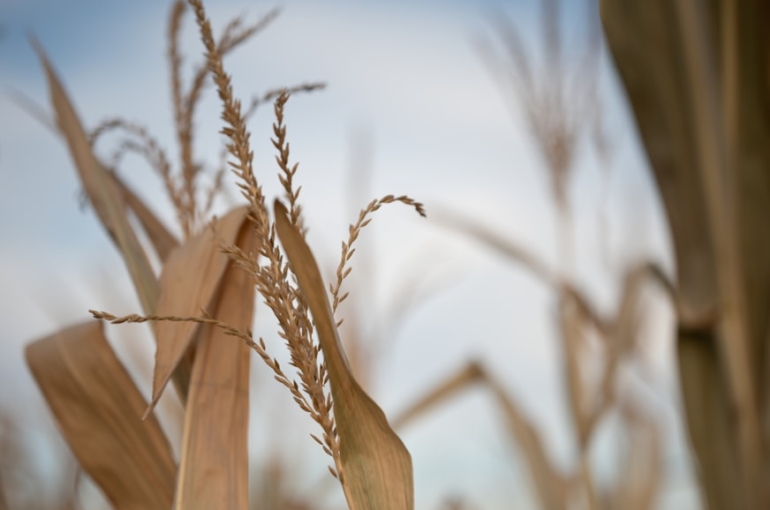 premium_photo-1666922729187-62963a87824e