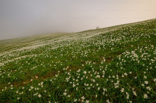 premium_photo-1667121486821-ec40834b5170