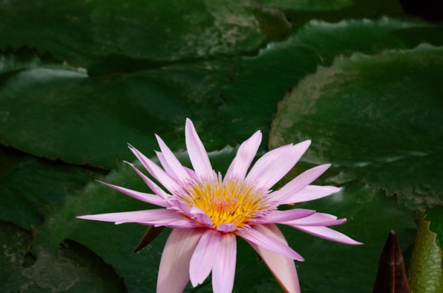 premium_photo-1668010601740-024119ed9fcc