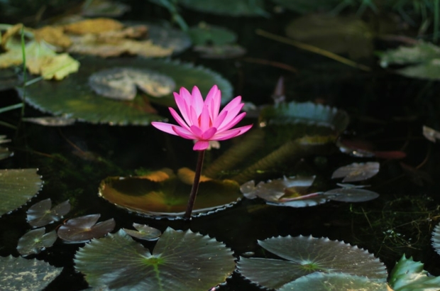 premium_photo-1669042404473-8e75edb9d0d7