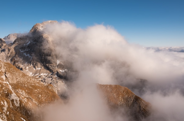 premium_photo-1669202041922-32c873300a4e