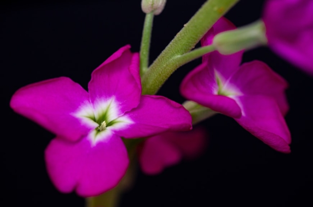 premium_photo-1669668243119-ae36cc7722c3