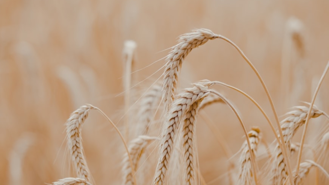 premium_photo-1670909649532-d1d68ee475cd