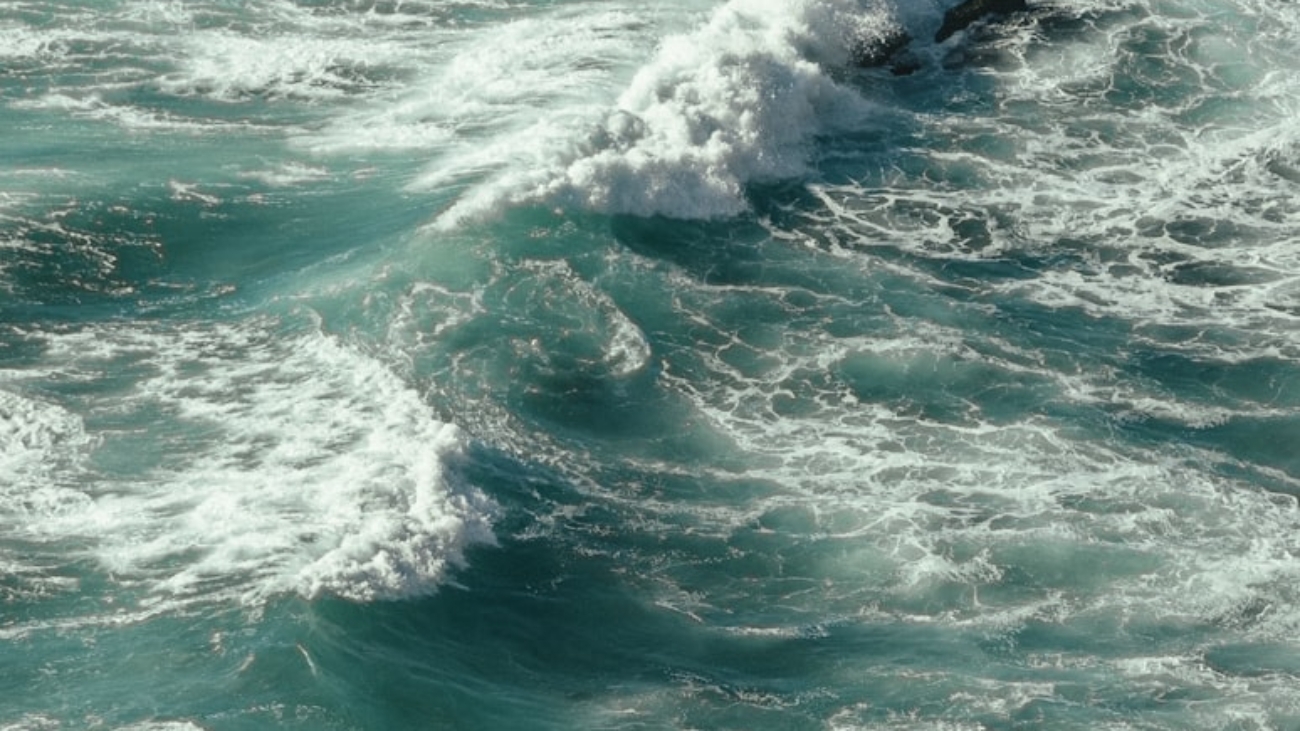 premium_photo-1671467792934-7dfaa0ac0436