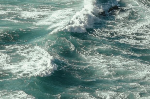 premium_photo-1671467792934-7dfaa0ac0436