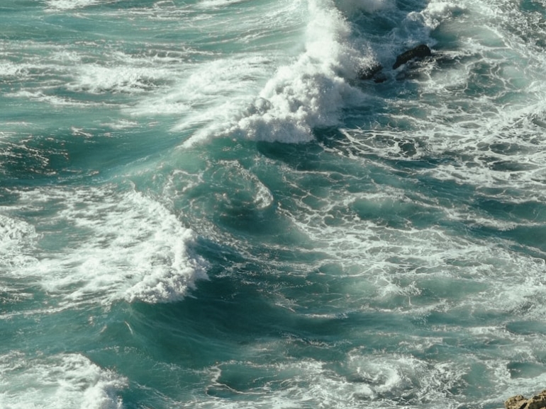 premium_photo-1671467792934-7dfaa0ac0436