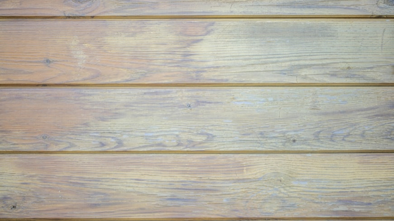 premium_photo-1675607118737-cd31f96c58fa