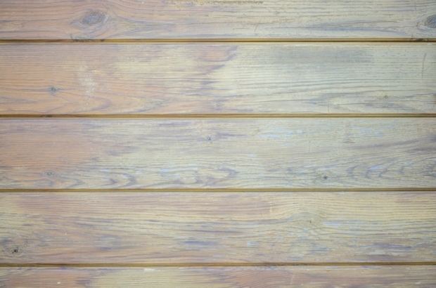 premium_photo-1675607118737-cd31f96c58fa