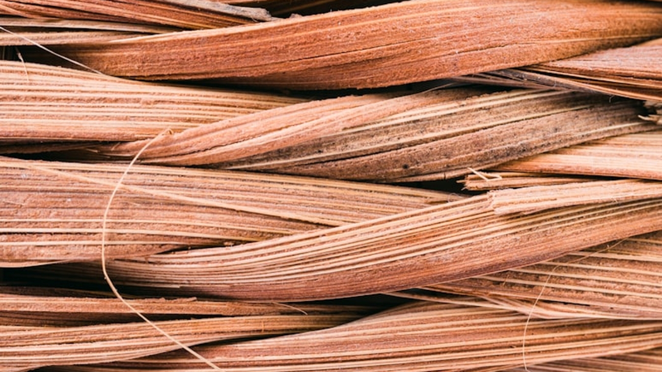 premium_photo-1675626935250-6c086110e808