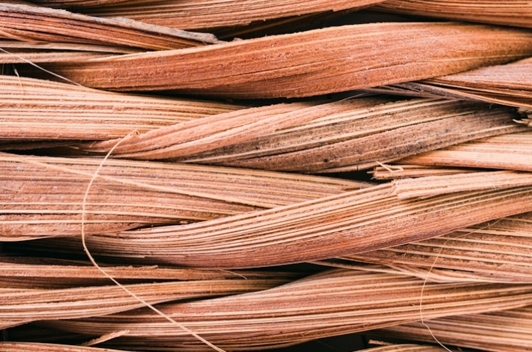 premium_photo-1675626935250-6c086110e808