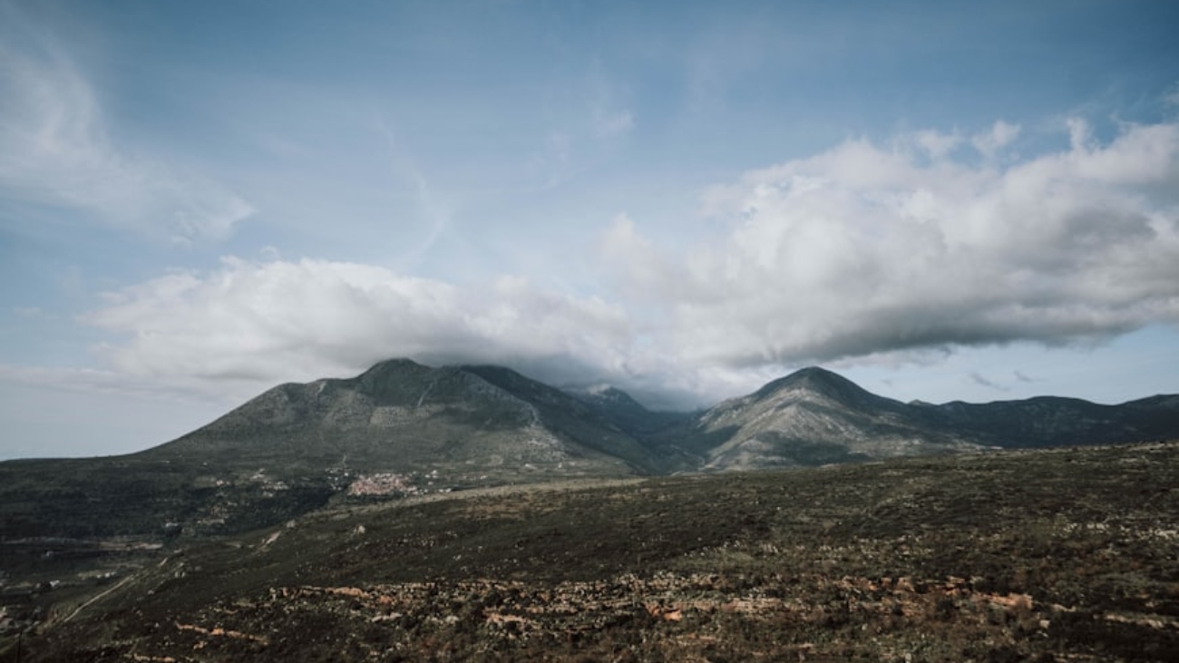 premium_photo-1676368173580-2d59a4ea6b82