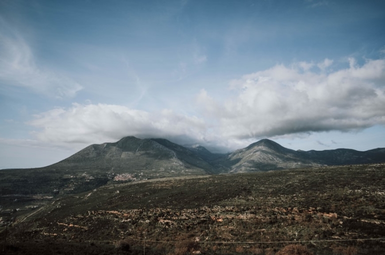 premium_photo-1676368173580-2d59a4ea6b82