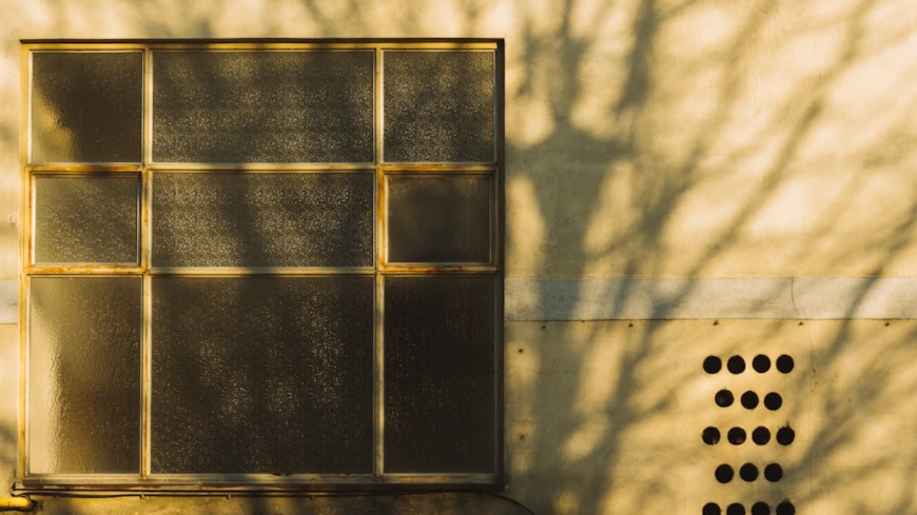 premium_photo-1676842295314-bc7fe2b2e4cf