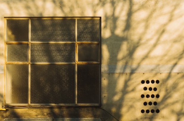 premium_photo-1676842295314-bc7fe2b2e4cf