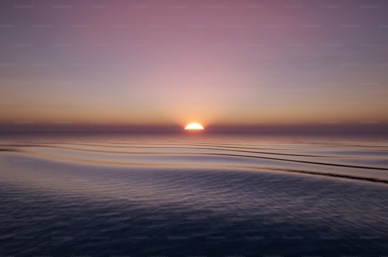 premium_photo-1680994646365-34b1321b8942