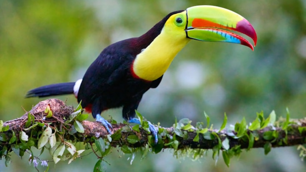 premium_photo-1686507726562-d03b9f8bf05b